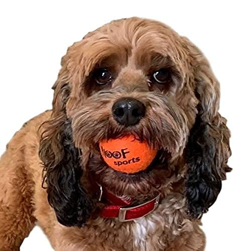 [Australia - AusPower] - small TENNIS BALLS for Dogs by WOOF SPORTS (1.9") - 12 Orange Durable and Easy to Find Mini Tennis Balls for Small Dogs and Puppies. Includes Carrying Bag. 