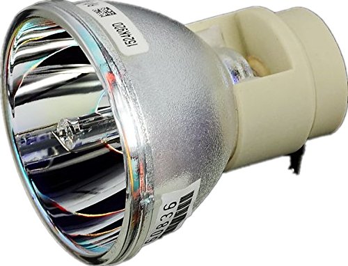 [Australia - AusPower] - AWO Original Projector Lamp Bulb BL-FP230I,BL-FP230D,BL-FP230H,BL-FP230G,BL-FP230F,BL-FP230J for OPTOMA HD300X,HD33,HD3300,HD23,GT750,GT750E,TW610ST,TX610ST,HD20,HD22 