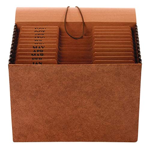 [Australia - AusPower] - [IN]PLACE Expanding File with Flap, Letter, Jan-Dec, 12 Pockets 