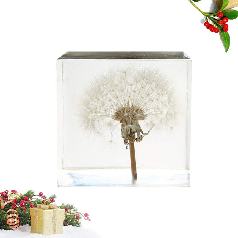 [Australia - AusPower] - ARTIBETTER 3D Dandelions Paperweight Real Puff Specimen Statue in Crystal Glass Cube Desk Ornament Fengshui Decor for Graduation Birthday Gift Glass Balls 
