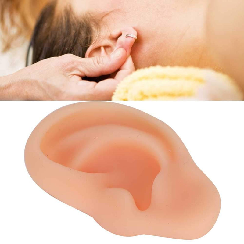 [Australia - AusPower] - DEALPEAK Professional Simulated Ear Model for Acupuncture Practice Massage Teaching Tool Artificial Display Sample (Left ) Left 