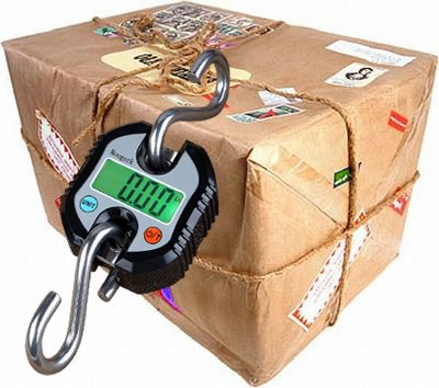 [Australia - AusPower] - Mougerk Digital Hanging Scales Portable Heavy Duty Crane Scale 150 kg 300 lb 2 AAA Batteries(Not Included) Black 