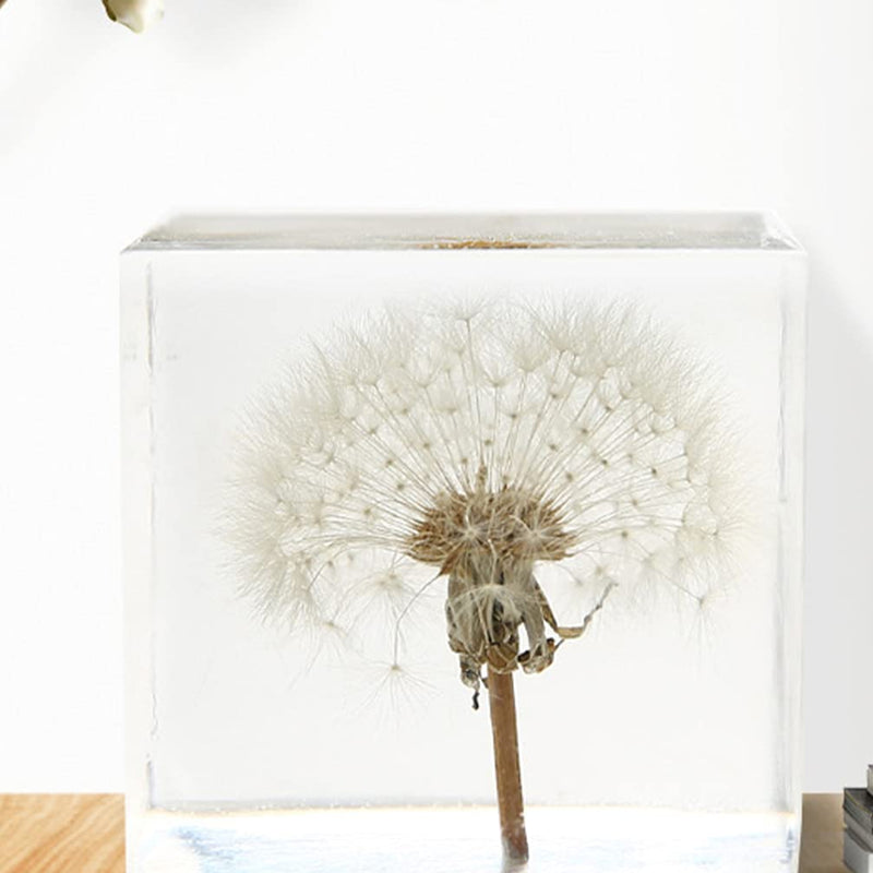 [Australia - AusPower] - ARTIBETTER 3D Dandelions Paperweight Real Puff Specimen Statue in Crystal Glass Cube Desk Ornament Fengshui Decor for Graduation Birthday Gift Glass Balls 
