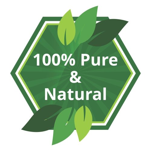 [Australia - AusPower] - Nirgundi Oil (Vitex negundo) Therapeutic Essential Oil 100% Natural & Pure Undiluted Uncut Cold Pressed Aromatherapy Premium Oil Therapeutic Grade - 30 ML with Dropper 