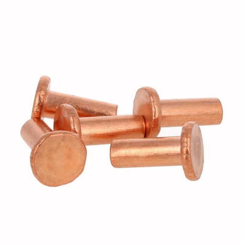 [Australia - AusPower] - Yinpecly 10PCS Round Flat Head Rivet 0.79" x 0.31" (Length x Outer Diameter) Copper Solid Rivets Metal Stud Fasteners Brass Tone 