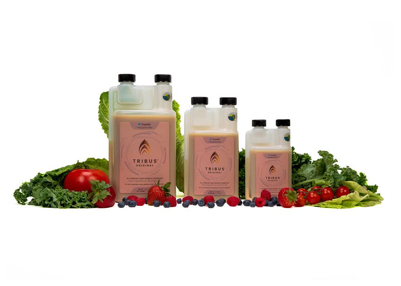 [Australia - AusPower] - TRIBUS® - Seedling to Harvest Microbial inoculant - Treats up to 500 gallons of Water 250ml 