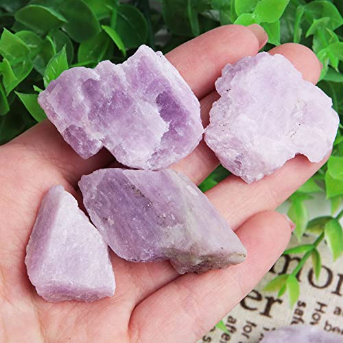 [Australia - AusPower] - Acxico 100g Random Natural Rough Kunzite Spodumene Raw Stone Crystal Specimen Mineral 