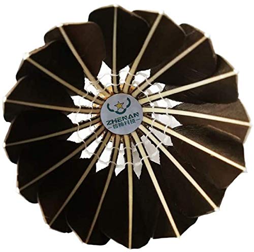 [Australia - AusPower] - ZHENAN 12-Pack Advanced Feather Badminton Shuttlecocks Birdies with Great Stability and Durability, Shuttlecocks Indoor Outdoor Sports Hight Speed Training Badminton Balls 