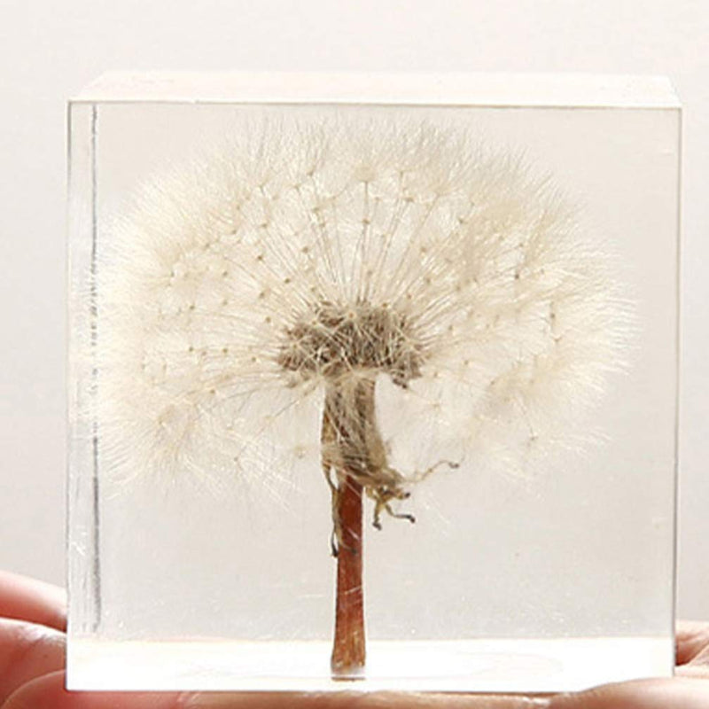 [Australia - AusPower] - ARTIBETTER 3D Dandelions Paperweight Real Puff Specimen Statue in Crystal Glass Cube Desk Ornament Fengshui Decor for Graduation Birthday Gift Glass Balls 