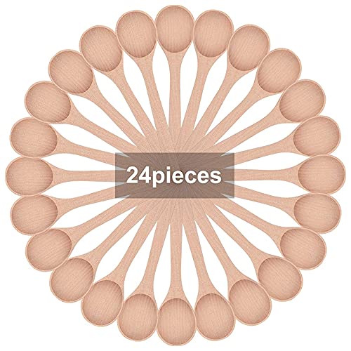 [Australia - AusPower] - Liseng 24 Pieces 6.7 Inch Wooden Spoons Condiments Salt Spoons Wooden Oval Spoons Wooden Mixing Spoons (Wood color) Wood color 