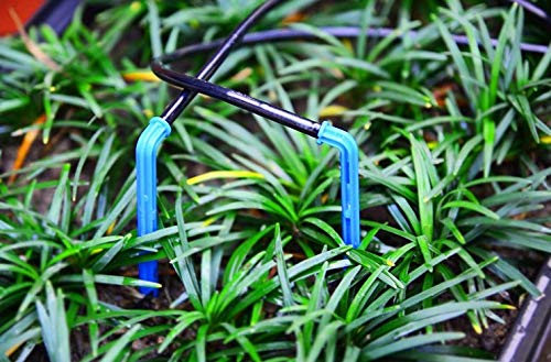 [Australia - AusPower] - (50-Pack) - 4" Inch .5 GPH - Angled Drip Emitter Stake for Precise Watering & Irrigation, Greenhouse, Container Gardening, Home Garden, and Hydroponics Growing - for 1/8" Tubing (4" Inch Drip Stake) 4" Inch Drip Stake 