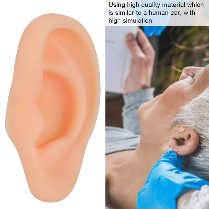 [Australia - AusPower] - DEALPEAK Professional Simulated Ear Model for Acupuncture Practice Massage Teaching Tool Artificial Display Sample (Left ) Left 