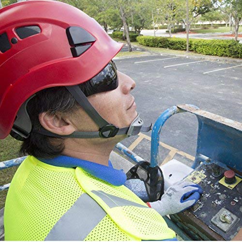 [Australia - AusPower] - JORESTECH Eyewear Protective Safety Glasses, Polycarbonate Impact Resistant Lens Pack of 12 (Smoke) Smoke 