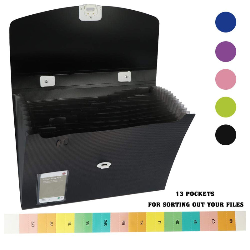 13Pocket Expanding File Folder, Monthly Accordion File Organizer, File