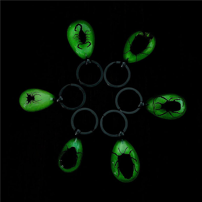 [Australia - AusPower] - QTMY 6 Pack Insect in Resin Specimen Collection Luminous Glow in The Dark Keychain Keyring ,Halloween Christmas Science Classroon Decor Kits Set Education 