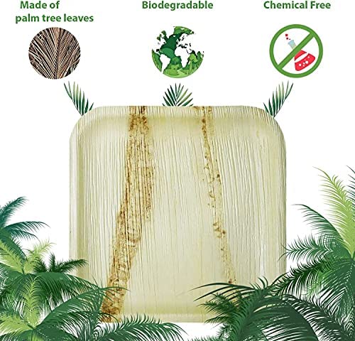 [Australia - AusPower] - Palm Naki Small Square Palm Leaf Plates (40 Count) - Disposable Dinnerware, Eco-Friendly, Compostable and Biodegradable Plates (4" Plates) 4" Plates 