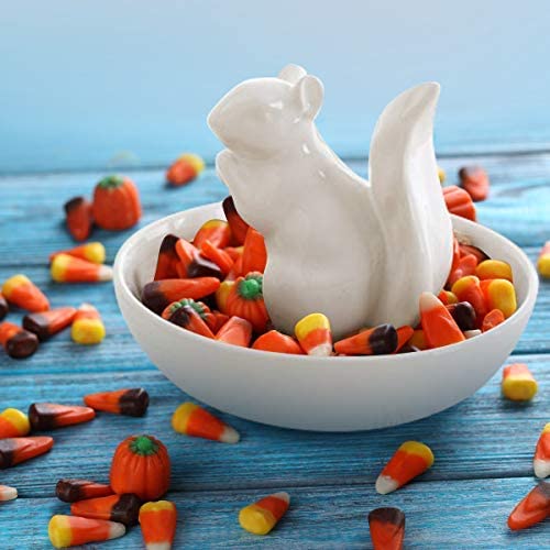 [Australia - AusPower] - LA JOLIE MUSE Nut Bowl Snack Serving Dish - Ceramic Squirrel Candy Jewelry Dish for Pistachio Peanuts, House Warming Hostess Gifts 
