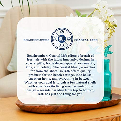 [Australia - AusPower] - Beachcombers Dolphin Salt And Peppet Set Multicolored 