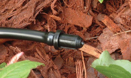 [Australia - AusPower] - Rain Bird TP25/10PS Drip Irrigation Tubing "Goof” Plug, 10-Pack 10 Pack 