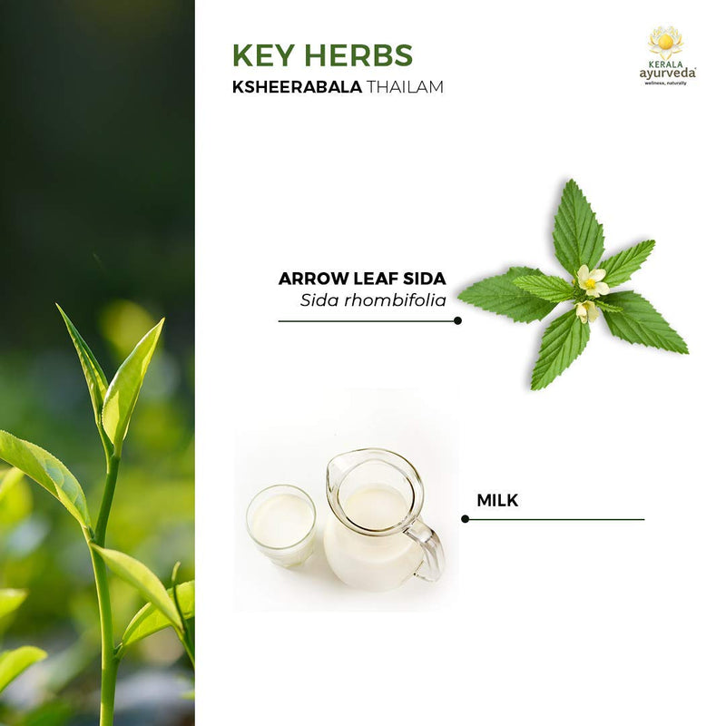 [Australia - AusPower] - Kerala Ayurveda Ksheerabala Thailam - Daily Massage Oil for Body - Nourishes Muscles, Maintains Bone and Joint Health, Promotes Restful Sleep and Balances Vata and Pitta, 6.8 Fl Oz 