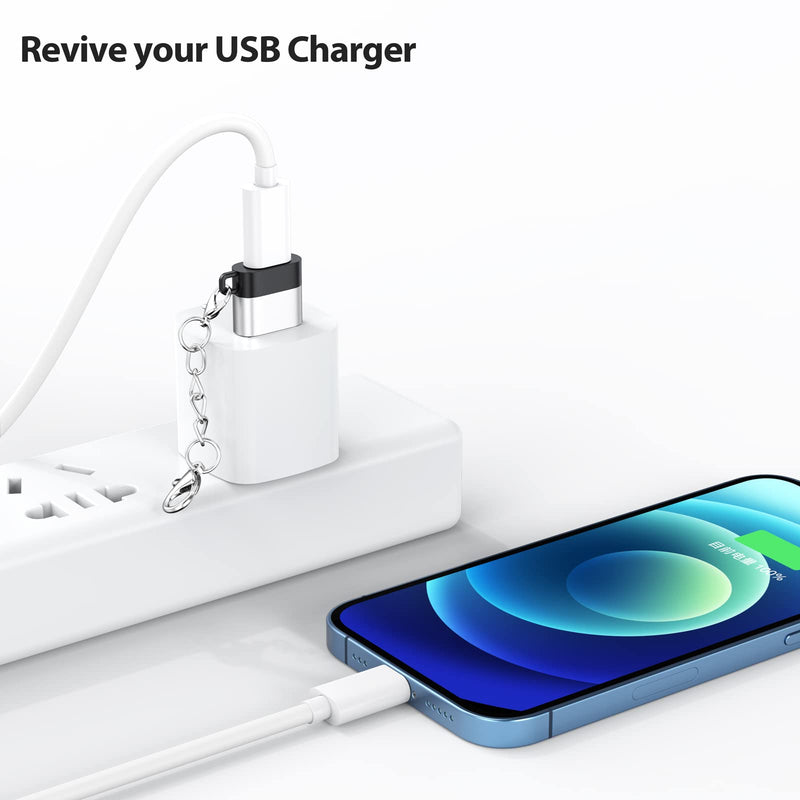 [Australia - AusPower] - USB C Female to USB Male Adapter 2 Pack, USB A Male to USB C Female Cable Converter with Keychain, USBC Type C Connector Charge & Data Sync for Laptop Car Charger Headphone Computer Hub etc. Silver+Black 