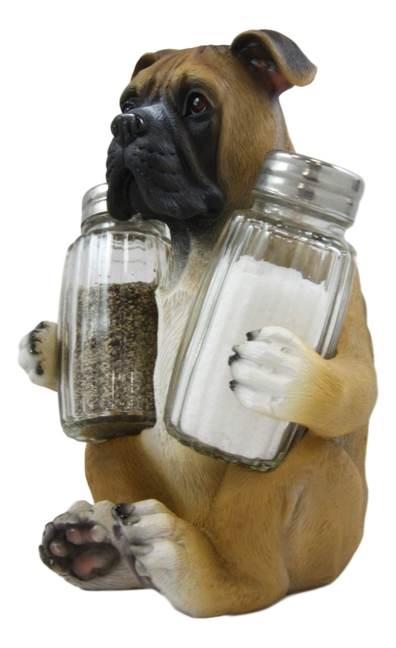 [Australia - AusPower] - Ebros Gift Realistic Fawn Boxer Puppy Dog Hugging Glass Salt Pepper Shakers Holder Decorative Statue 6.25"High Resin Dogs Boxers Memorial Pets Pet Pal Animal Home Kitchen Spice Organizer Figurine 