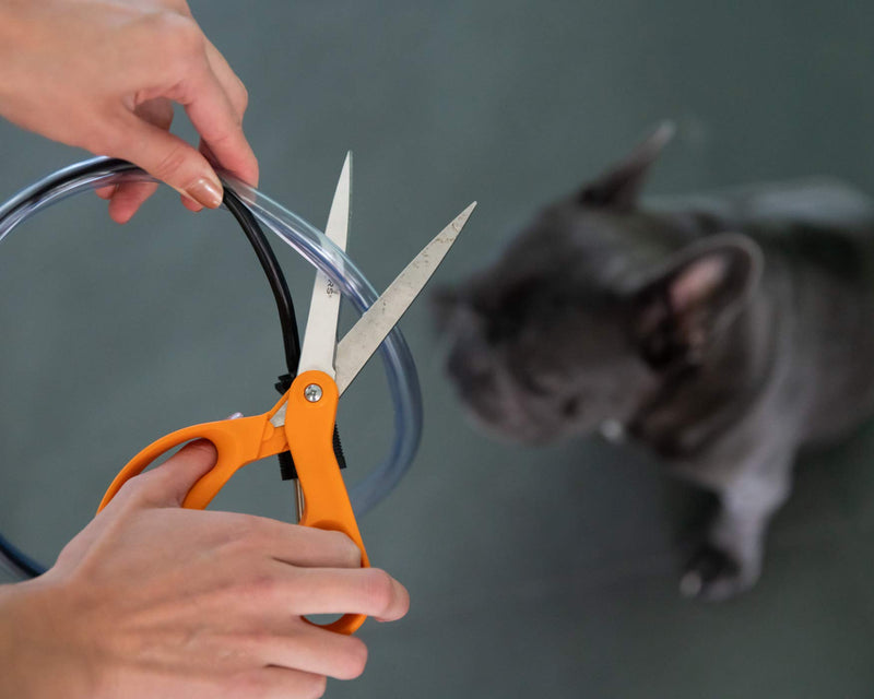 [Australia - AusPower] - PetCords Dog and Cat Cord Protector- Protects Your Pets and Critters from Chewing Through Cables up to 20ft, XL- Unscented, Odorless Made in USA 