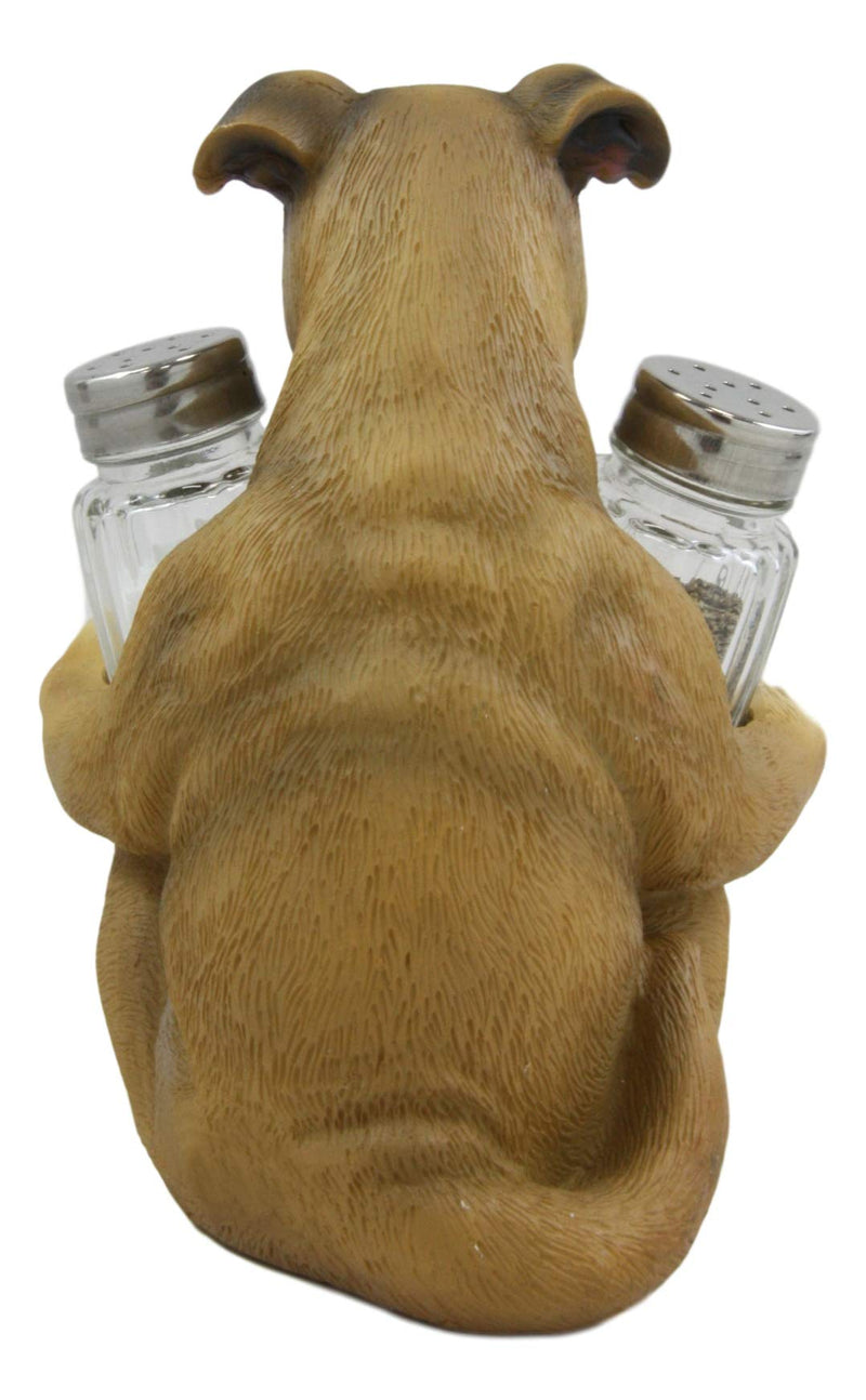 [Australia - AusPower] - Ebros Gift Realistic Fawn Boxer Puppy Dog Hugging Glass Salt Pepper Shakers Holder Decorative Statue 6.25"High Resin Dogs Boxers Memorial Pets Pet Pal Animal Home Kitchen Spice Organizer Figurine 