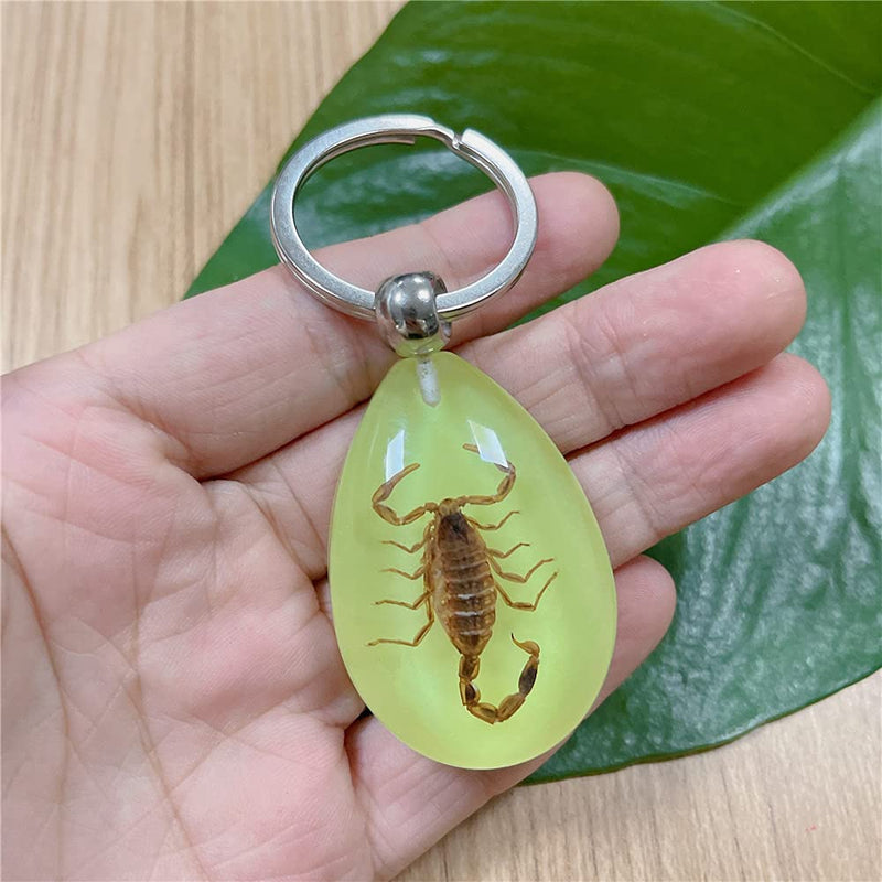 [Australia - AusPower] - QTMY 6 Pack Insect in Resin Specimen Collection Luminous Glow in The Dark Keychain Keyring ,Halloween Christmas Science Classroon Decor Kits Set Education 