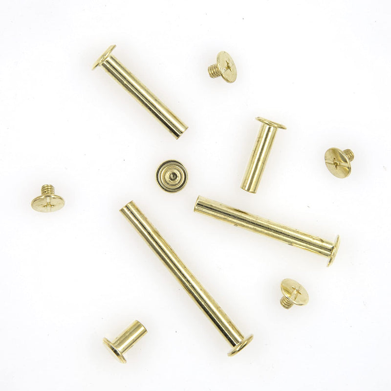 [Australia - AusPower] - NA Alloypro 80 Pcs Phillips Chicago Binding Screws M5 x 1020304050mm (Golden M5x1020304050) Golden M5x10/20/30/40/50 