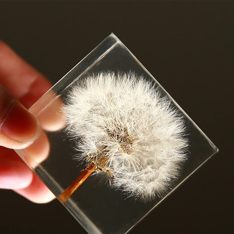 [Australia - AusPower] - ARTIBETTER 3D Dandelions Paperweight Real Puff Specimen Statue in Crystal Glass Cube Desk Ornament Fengshui Decor for Graduation Birthday Gift Glass Balls 