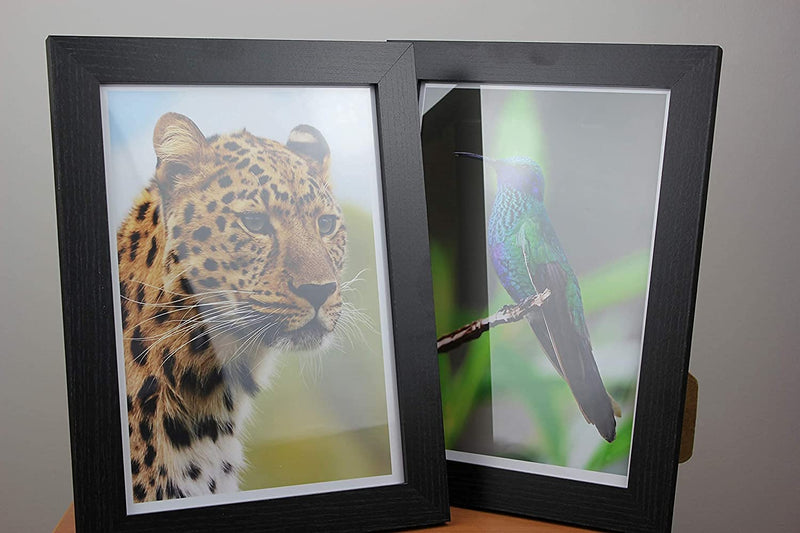 [Australia - AusPower] - PPD 50 Sheets Inkjet Glossy Photo Paper 8.5x11 49lbs 180gsm 9.9mil Letter Size Instant Dry and Water-Resistant (PPD-24-50) 180g/49lb 