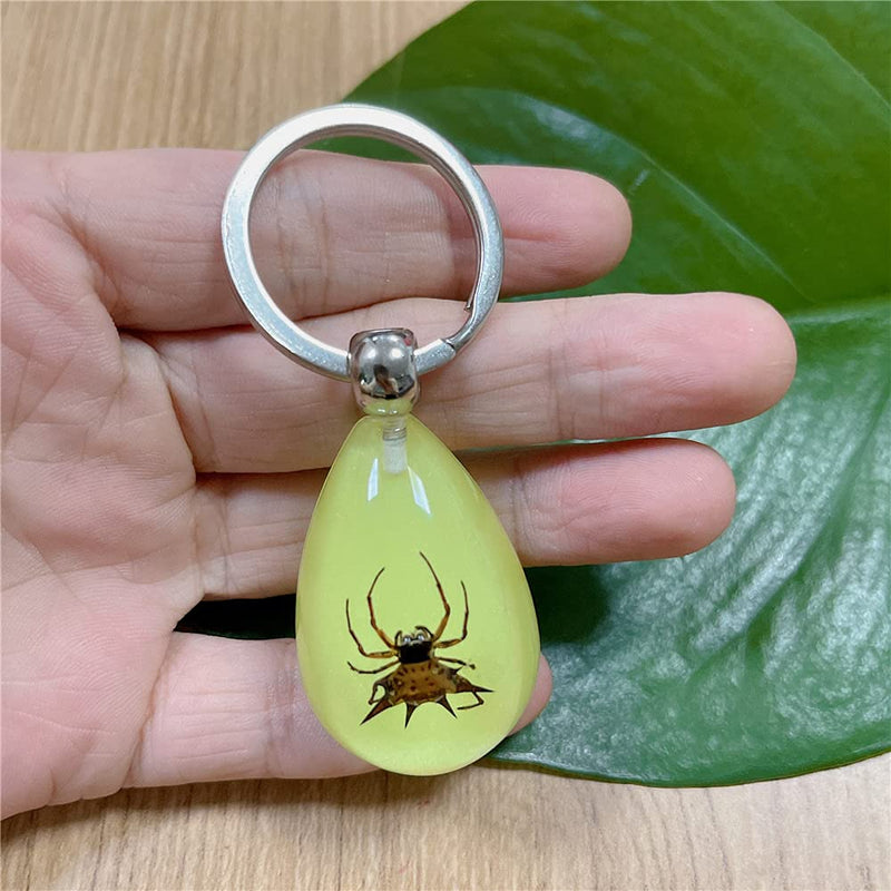 [Australia - AusPower] - QTMY 6 Pack Insect in Resin Specimen Collection Luminous Glow in The Dark Keychain Keyring ,Halloween Christmas Science Classroon Decor Kits Set Education 
