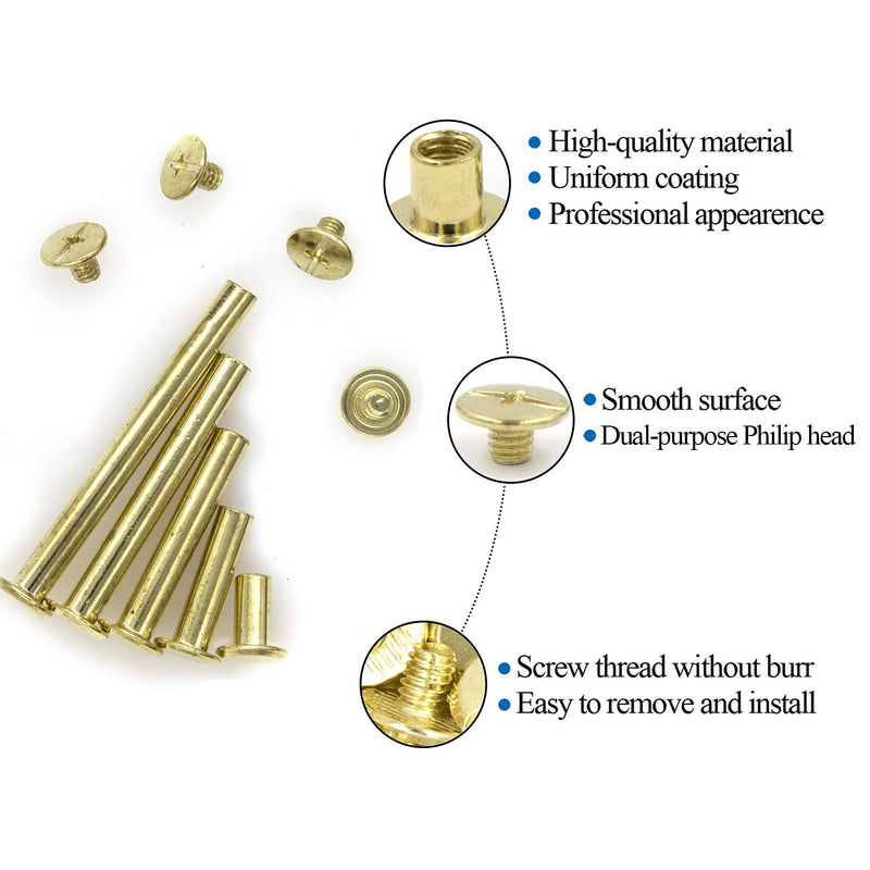 [Australia - AusPower] - NA Alloypro 80 Pcs Phillips Chicago Binding Screws M5 x 1020304050mm (Golden M5x1020304050) Golden M5x10/20/30/40/50 