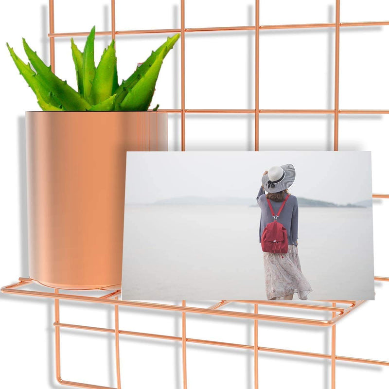 [Australia - AusPower] - Afaris Rose Gold Grid Photo Wall, Wire Wall Grid Panel, Office Wall Organizer Ins Art Display for Bedroom, Living Room or Office for Girl | 16x12Inches (rose gold2) rose gold2 