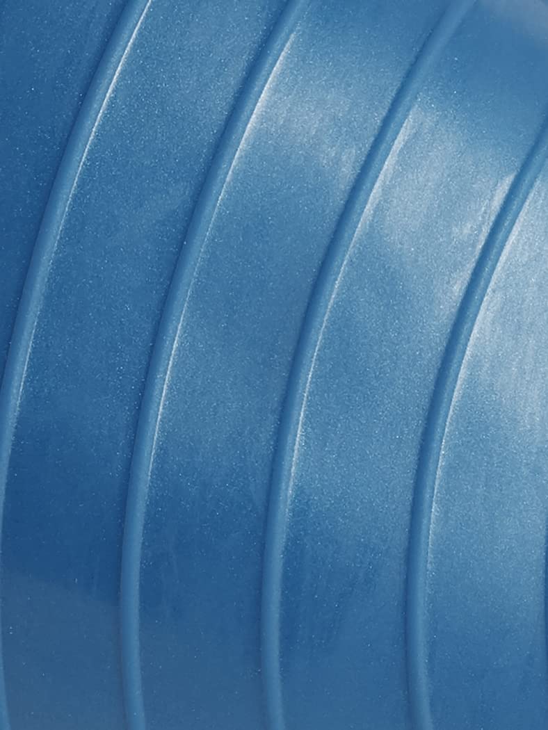 [Australia - AusPower] - Cando 30-1800 Blue Non-Slip PVC Vinyl Inflatable Exercise Ball, 12" Diameter, 300 lbs Weight Capacity Blue (11.8") 