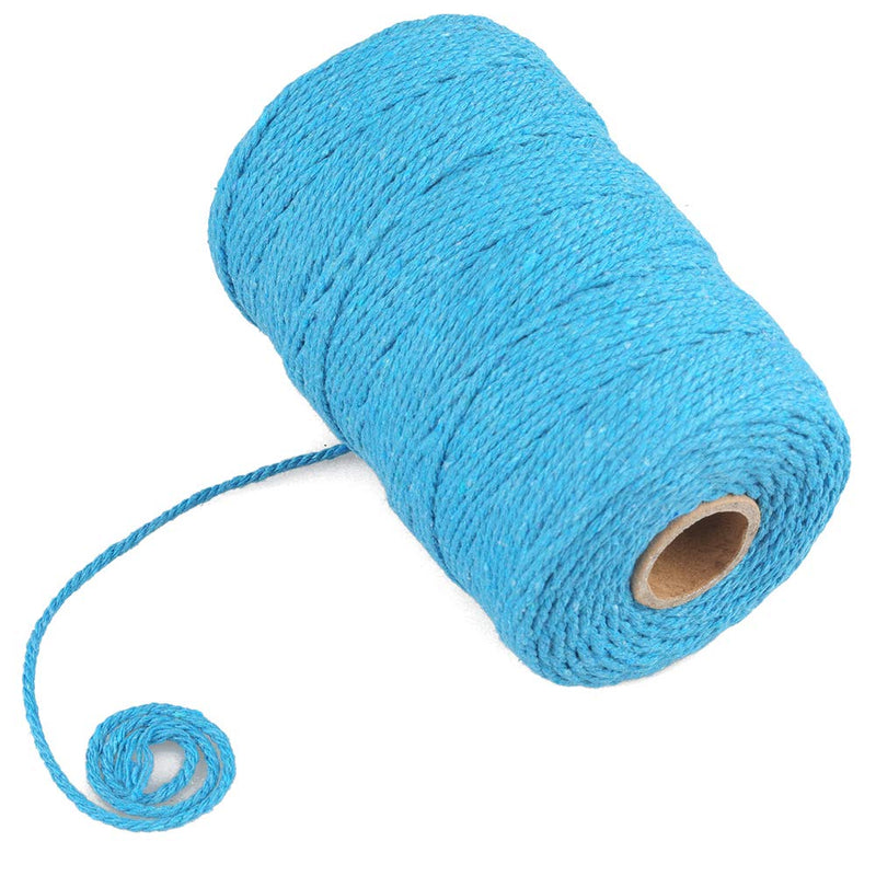 [Australia - AusPower] - 200M/656 Feet Cotton String,Lake Blue String,Cotton Cord Craft String Bakers Twine for DIY Crafts and Gift Wrapping-2mm 2mm x 656 ft Lake Blue 