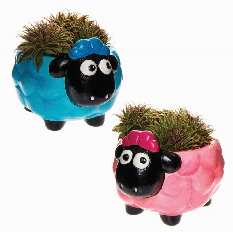 [Australia - AusPower] - Baker Ross Fluffy Sheep Ceramic Flowerpots - Pack of 2, Creative Art and Craft Supplies for Kids to Make, Personalize and Decorate (AX828) 