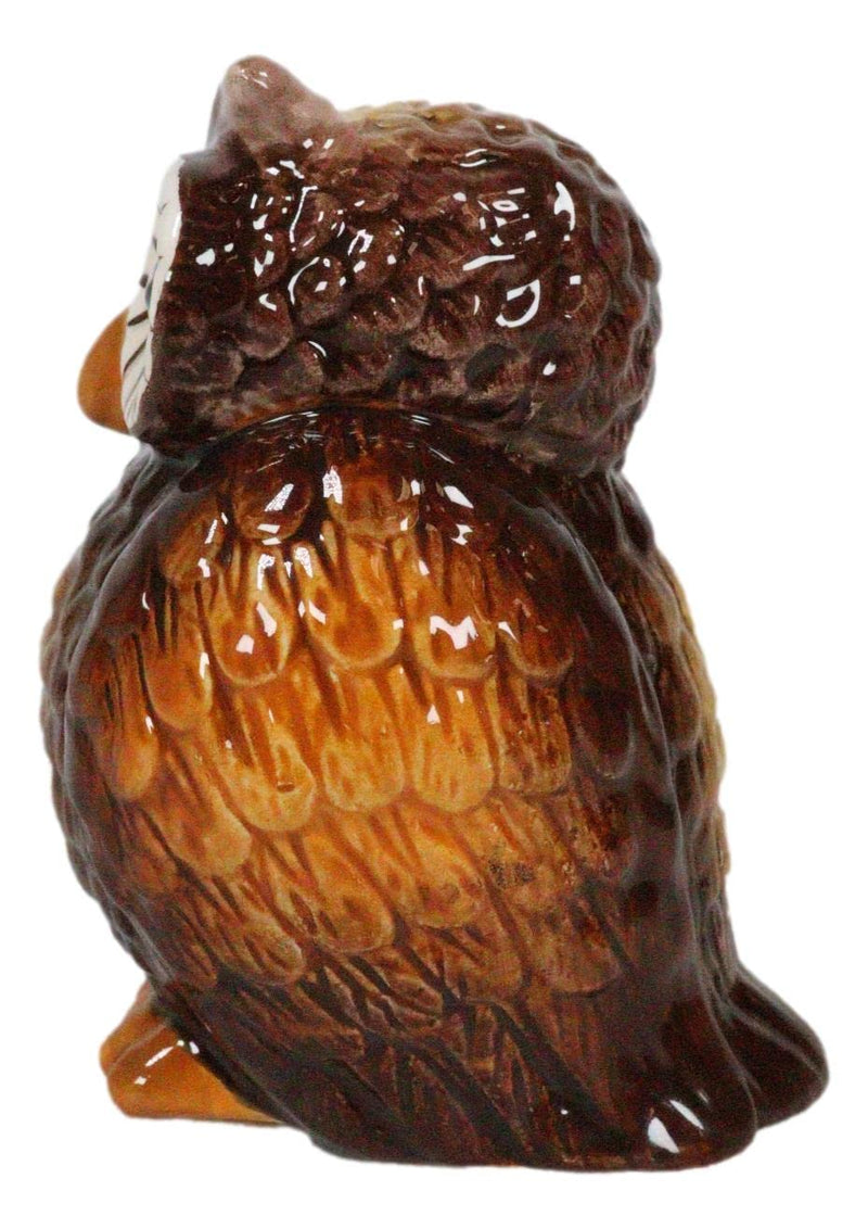 [Australia - AusPower] - Ebros Gift Wisdom Of The Woods Great Horned Brown Owls With Wide Round Eyes Ceramic Salt And Pepper Shakers Figurine Set 3.5"H Forest Nocturnal Owl Birds Home Kitchen Decor 