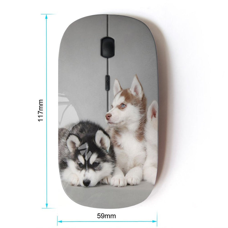 [Australia - AusPower] - KOOLmouse [ Optical 2.4G Wireless Mouse ] [ Husky Siberian Dogs Gray Pack ] 
