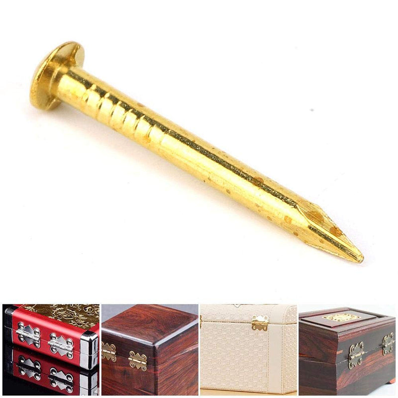 [Australia - AusPower] - HEEPDD 100Pcs Brass Escutcheon Tacks, Round Head Brass Brad Nail Hardware Nail Assortment Kit Furniture Hinge Hardware Accessories 10mm/15mm/18mm/22mm(10mm Length) 10mm Length 