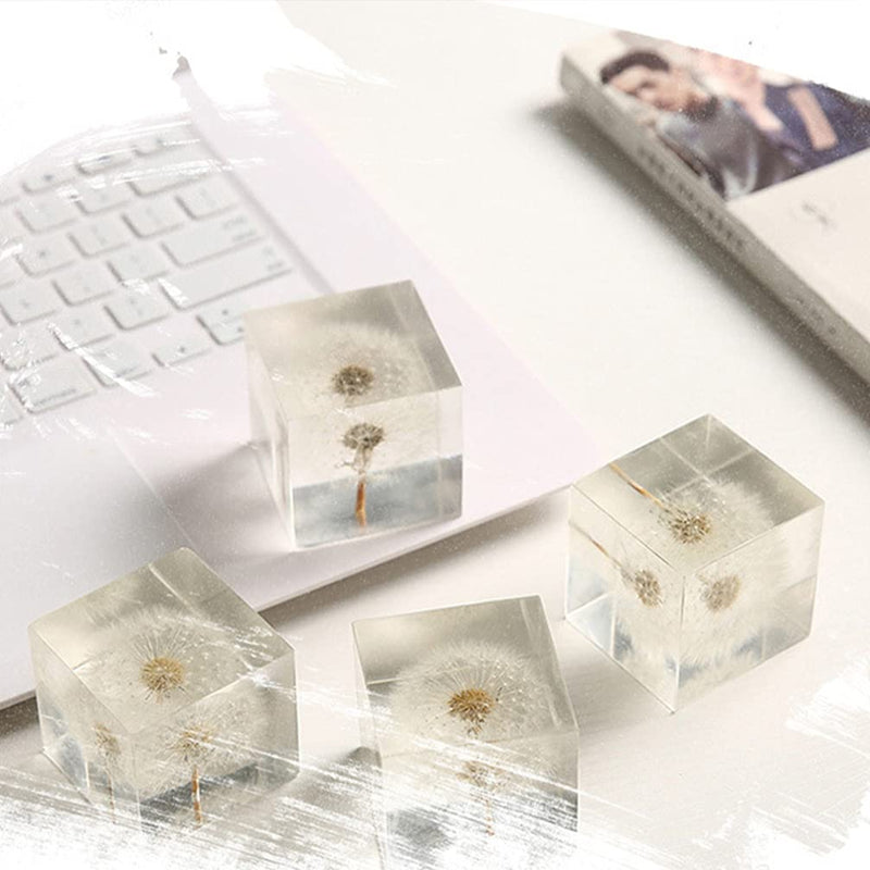 [Australia - AusPower] - ARTIBETTER 3D Dandelions Paperweight Real Puff Specimen Statue in Crystal Glass Cube Desk Ornament Fengshui Decor for Graduation Birthday Gift Glass Balls 