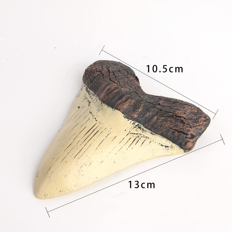 [Australia - AusPower] - AOAILION Megalodon Shark Tooth Fossil Giant Shark Tooth Megalodon Tooth Resin Replica 