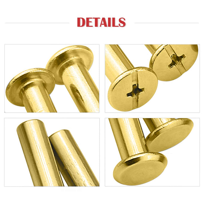 [Australia - AusPower] - Hilitchi 50-Sets M5 Brass Plated Phillips Chicago Screw Posts Binding Screws Assortment Kit for Scrapbook Photo Albums Binding, Leather Repair - Gold (M5 x 10mm-50Sets) M5 x 10mm-50Sets 