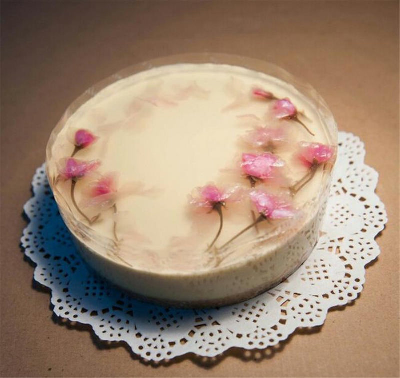 [Australia - AusPower] - DECORA 180 Pieces White Round Paper Lace Doilies for Birthday Party and Wedding Tablewear Decoration 3.5inch,4.5inch,5.5inch Am118s1p180f 