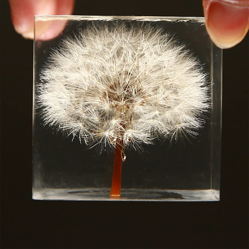 [Australia - AusPower] - ARTIBETTER 3D Dandelions Paperweight Real Puff Specimen Statue in Crystal Glass Cube Desk Ornament Fengshui Decor for Graduation Birthday Gift Glass Balls 