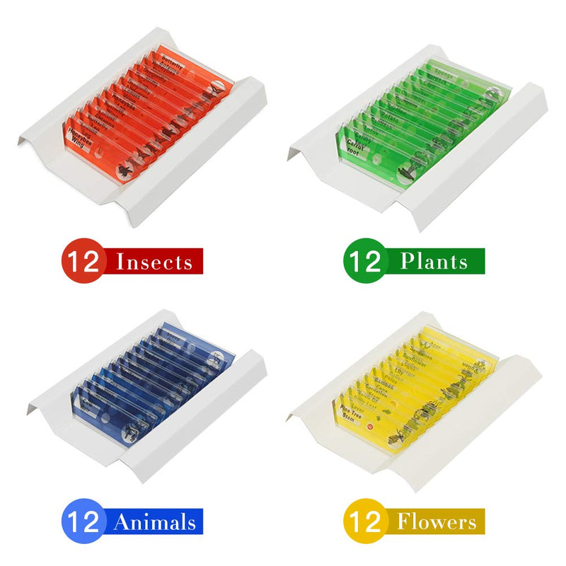 [Australia - AusPower] - 48pcs Kids Prepared Microscope Slides of Animals Insects Plants Flowers Specimens for Kids’ Microscopes 