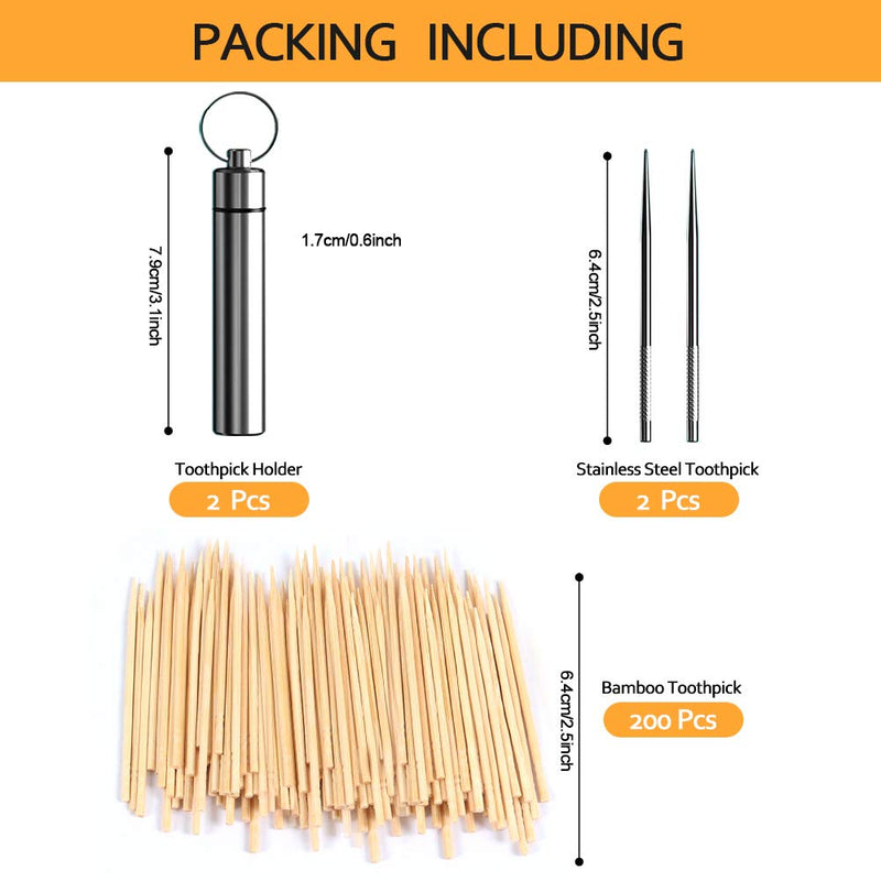 [Australia - AusPower] - Toothpick Holders and 2 Pieces Metal Toothpicks Portable Titanium Toothpick Case with Keychain for Outdoor Camping Travel Picnic 2 pack Silver 