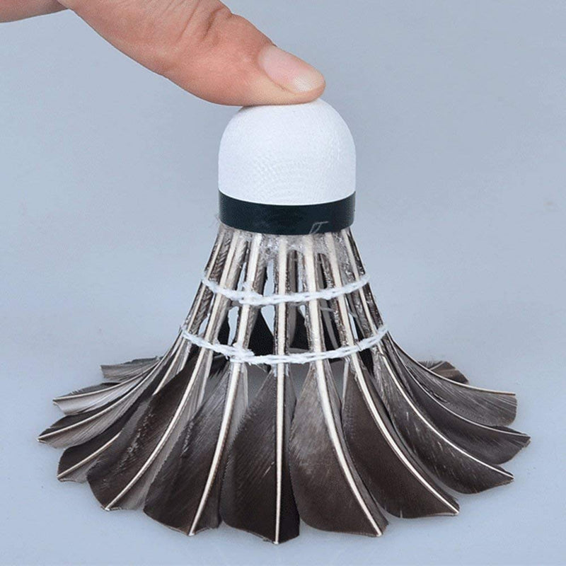 [Australia - AusPower] - ZHENAN 12-Pack Advanced Feather Badminton Shuttlecocks Birdies with Great Stability and Durability, Shuttlecocks Indoor Outdoor Sports Hight Speed Training Badminton Balls 