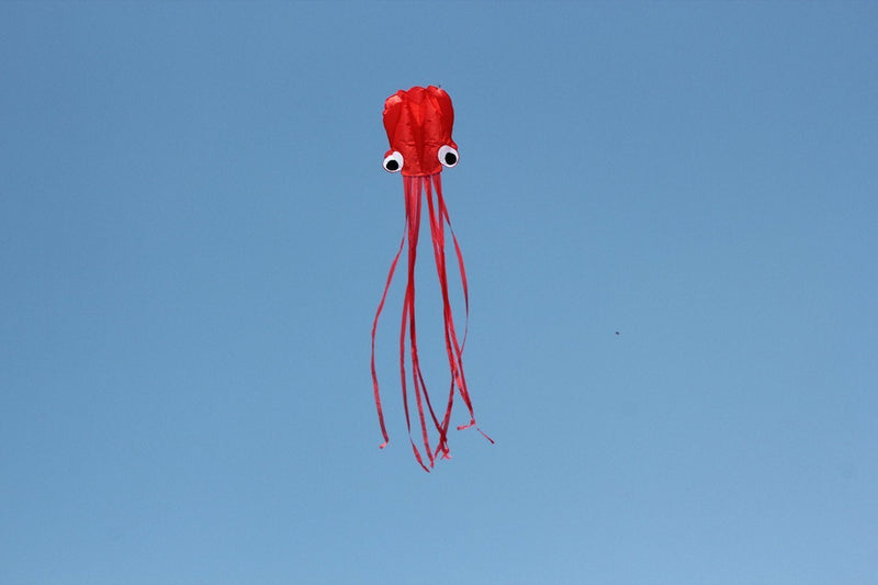 [Australia - AusPower] - Hengda Kite®-Beautiful Large Easy Flyer Kite for Kids & Adults, Red Software Octopus-It's Big! 31 Inches Wide with Long Tail 196 Inches Long-Perfect for Beach or Park by Hengda kite … 
